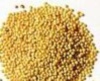 Amaranth nutritional information